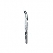 Splinter Forceps 